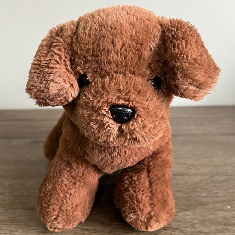 Walgreens Brown Puppy Dog Plush Stuffed Animal Toy Chocolate 8.5" Item 980622